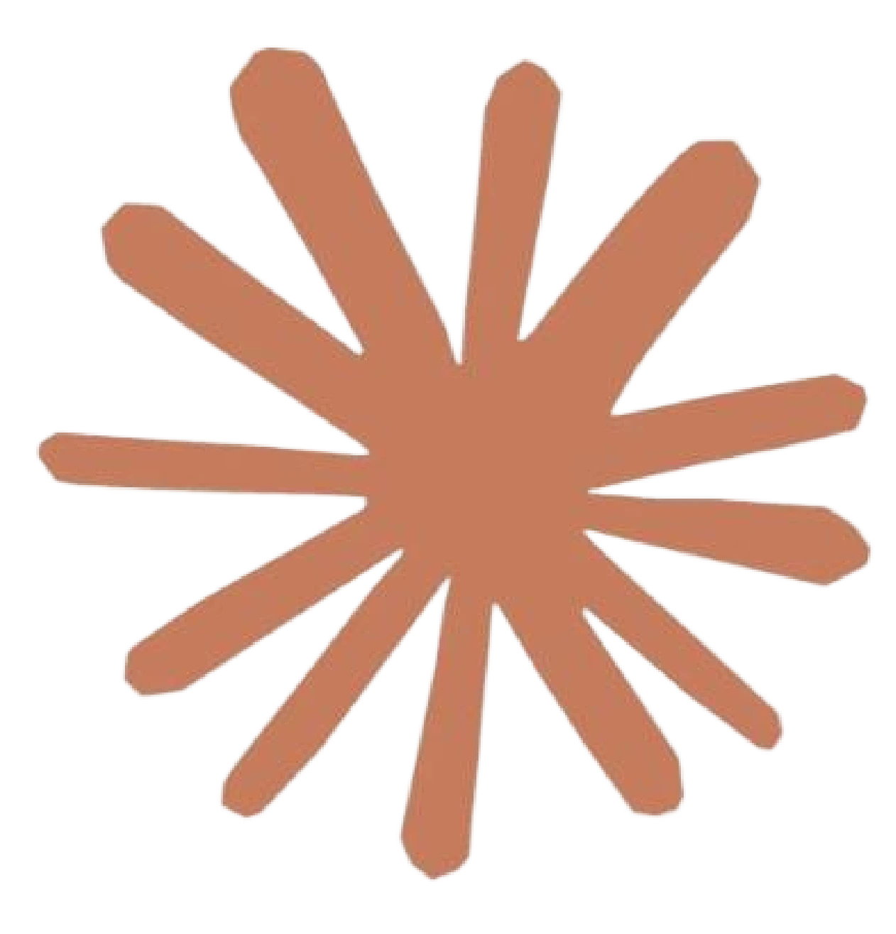 Claude Code